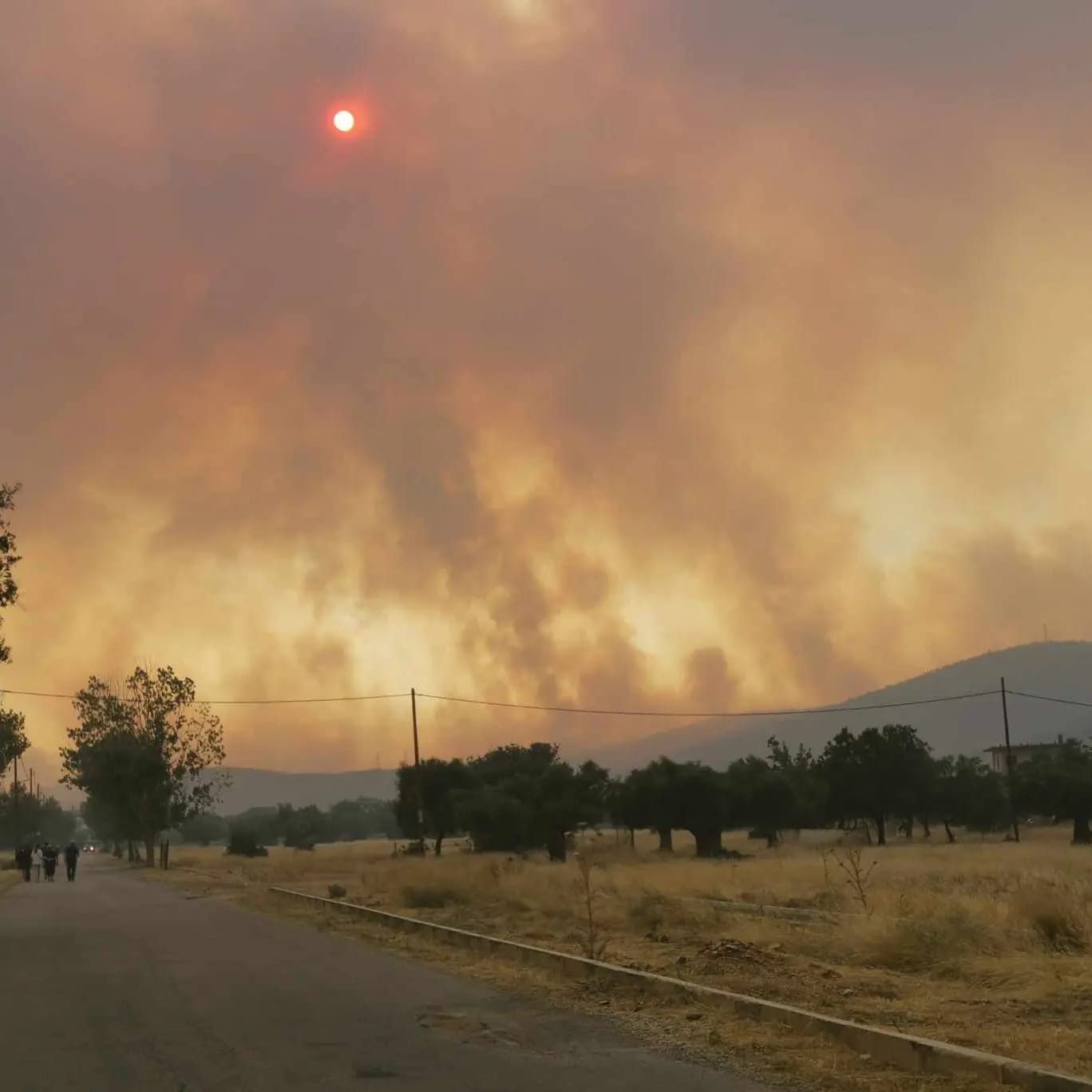 ΚΑΛΕΣΜΑ ΑΥΡΙΟ ΔΕΥΤΕΡΑ 24/07 ΣΥΝΤΑΓΜΑ 19.30